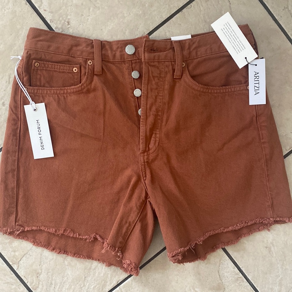 Aritzia The Ex Boyfriend MIDI Short Terracotta Color Size 26W